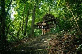 Runner Photo 1736552