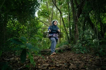 Runner Photo 1737378