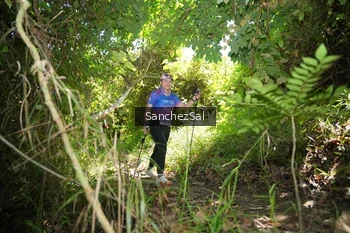 Runner Photo 1738290