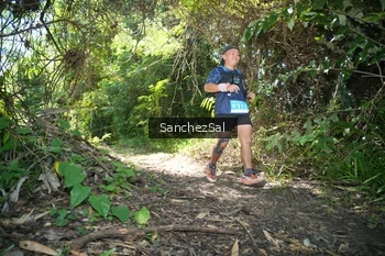 Runner Photo 1738329
