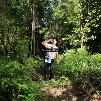 Runner Photo 1739320