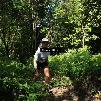 Runner Photo 1739321