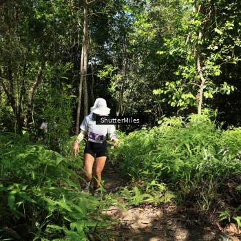 Runner Photo 1739325