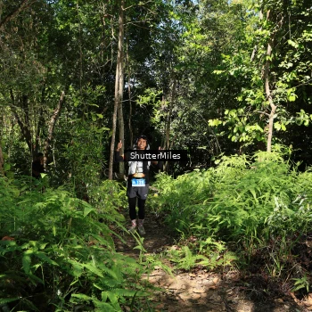 Runner Photo 1739326