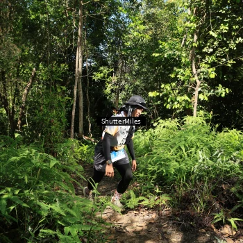 Runner Photo 1739328