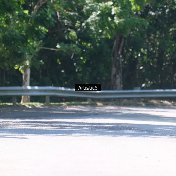 Runner Photo 1739472