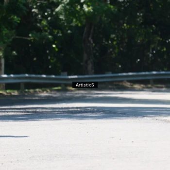 Runner Photo 1739581