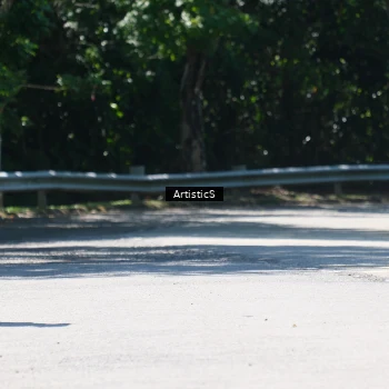 Runner Photo 1739582
