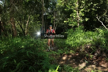 Runner Photo 1740008