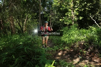 Runner Photo 1740016