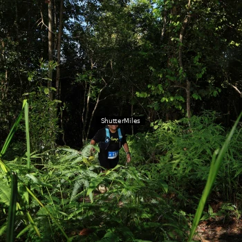 Runner Photo 1741091