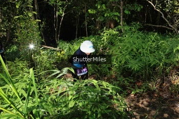 Runner Photo 1741101