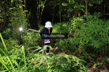 Runner Photo 1741102