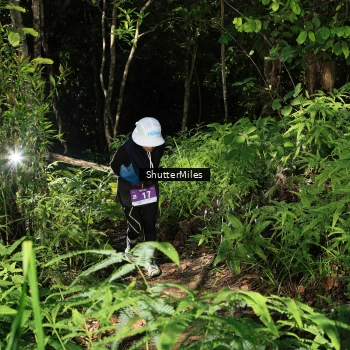 Runner Photo 1741104