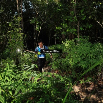 Runner Photo 1741113