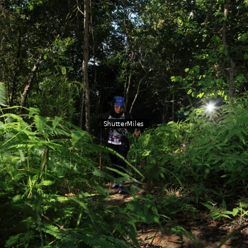 Runner Photo 1741145