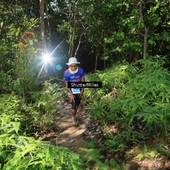 Runner Photo 1741151