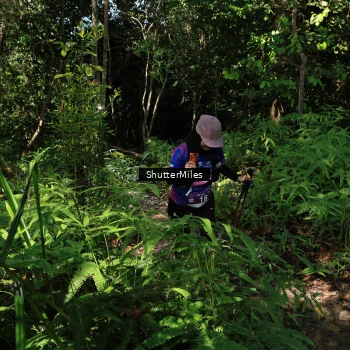 Runner Photo 1741170