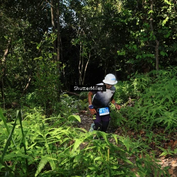 Runner Photo 1741177