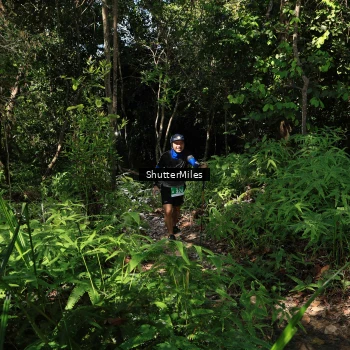 Runner Photo 1741180
