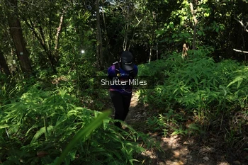 Runner Photo 1741209