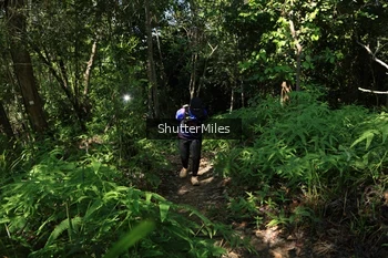 Runner Photo 1741210