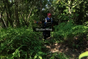 Runner Photo 1741211