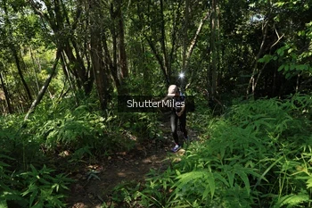 Runner Photo 1741223