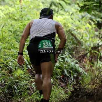 Runner Photo 1742223