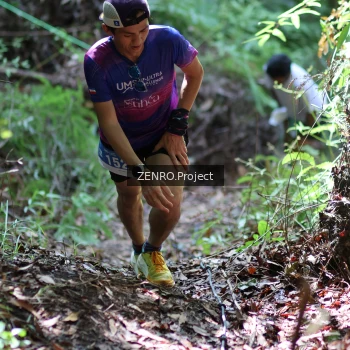 Runner Photo 1742227
