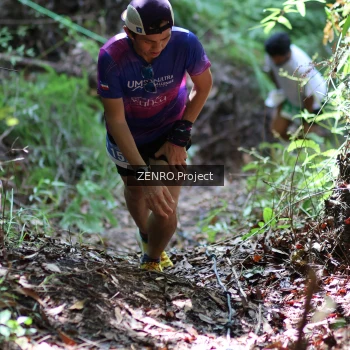 Runner Photo 1742228