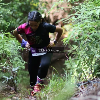 Runner Photo 1742284