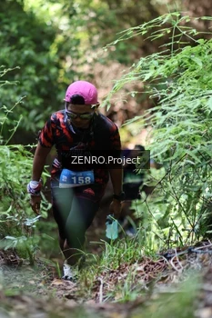 Runner Photo 1742301