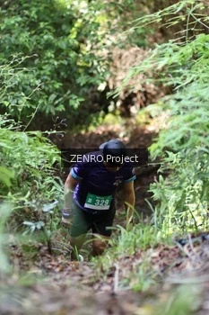 Runner Photo 1742313