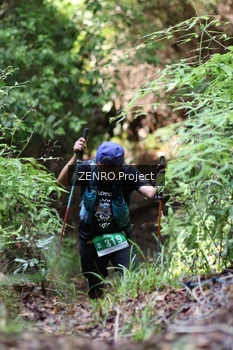 Runner Photo 1742348