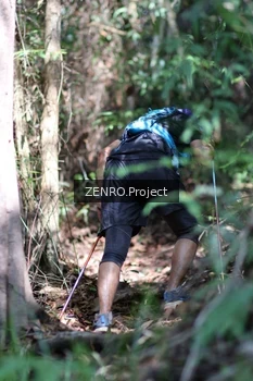 Runner Photo 1742375