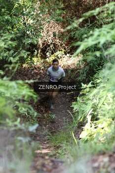 Runner Photo 1742386