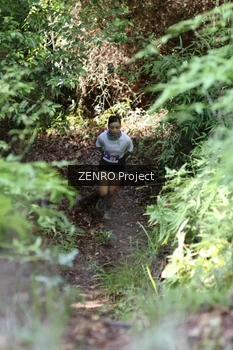 Runner Photo 1742389