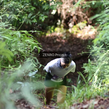 Runner Photo 1742390
