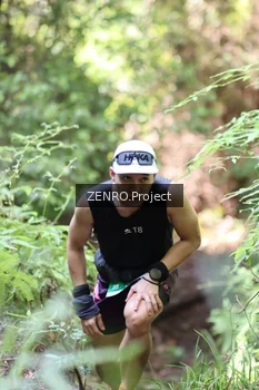 Runner Photo 1742403