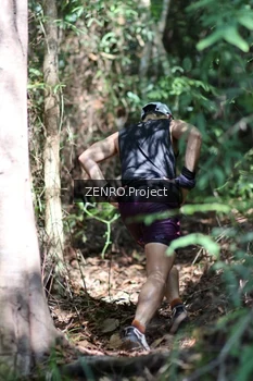 Runner Photo 1742415