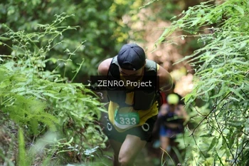 Runner Photo 1742424