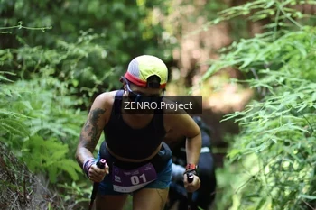 Runner Photo 1742437