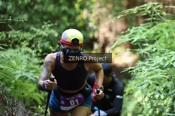Runner Photo 1742438
