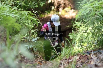 Runner Photo 1742446