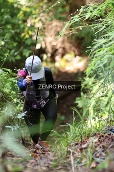 Runner Photo 1742447
