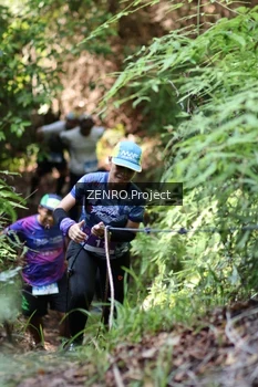 Runner Photo 1742465