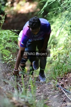 Runner Photo 1742494