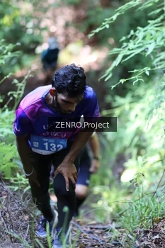 Runner Photo 1742496