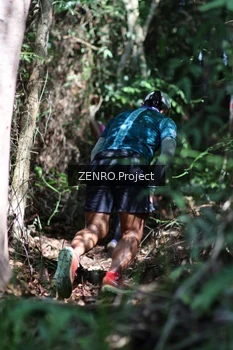 Runner Photo 1742528